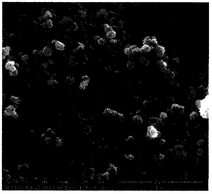 Nanometer titanium dioxide fluorescent powder and preparation method thereof