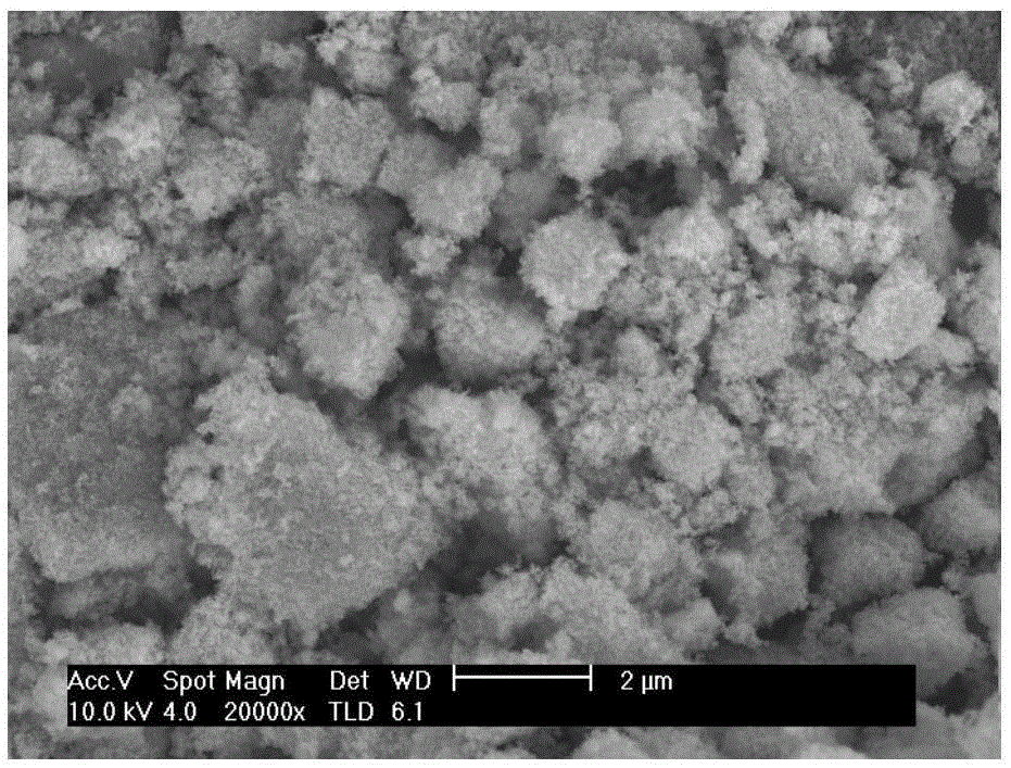 Cesium ion adsorbing agent and preparing method thereof