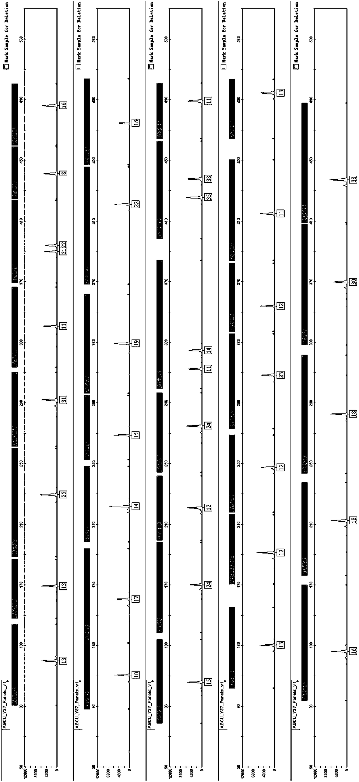 Human Y chromosome 37 STR loci fluorescence labelled multiplex amplification kit and application thereof