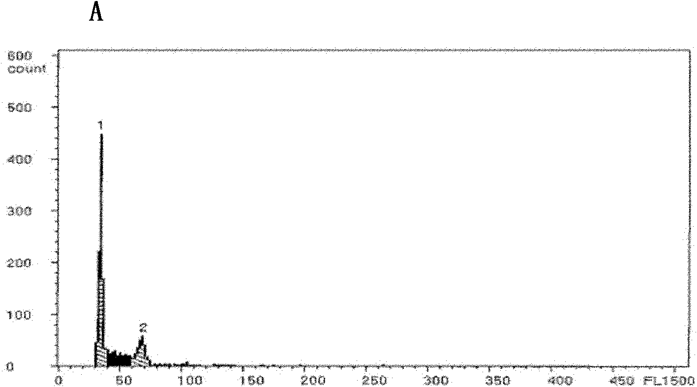 Flounder triploid batch producing method