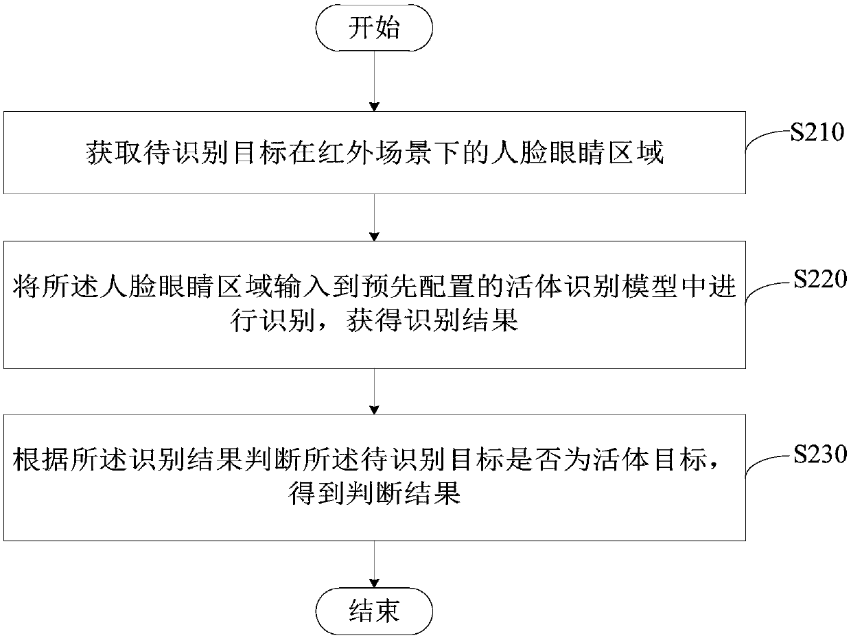 Living body judgment method and device