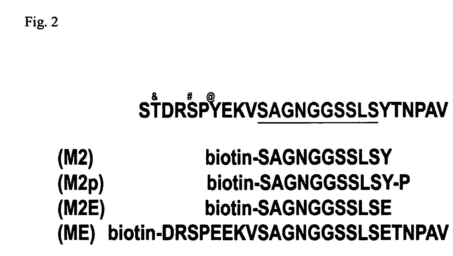 Therapeutic peptides for the treatment of metastatic cancer