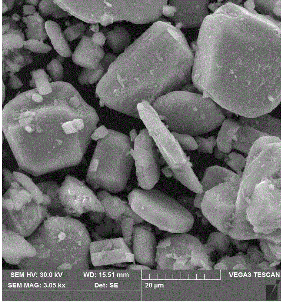 Two-layer textured vectolite-lead zirconate titanate multiferroic composite film material and preparation method thereof