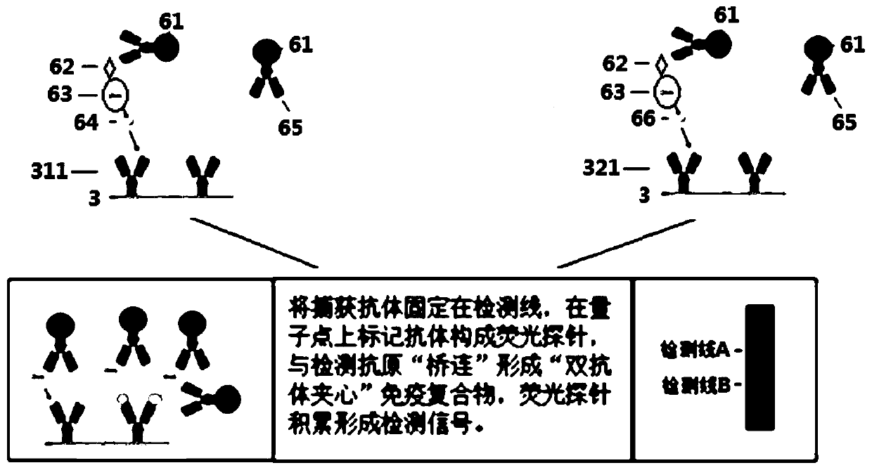 Sulindac and naproxen immunoassay card with marker guiding signal amplification effect