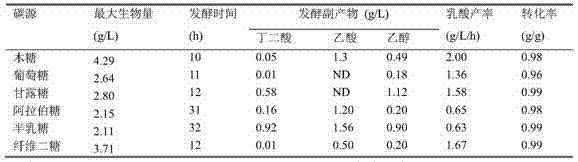 Bacillus coagulans strain and integrated process for producing lactic acid by using same through synchronous saccharification and fermentation of lignocellulose