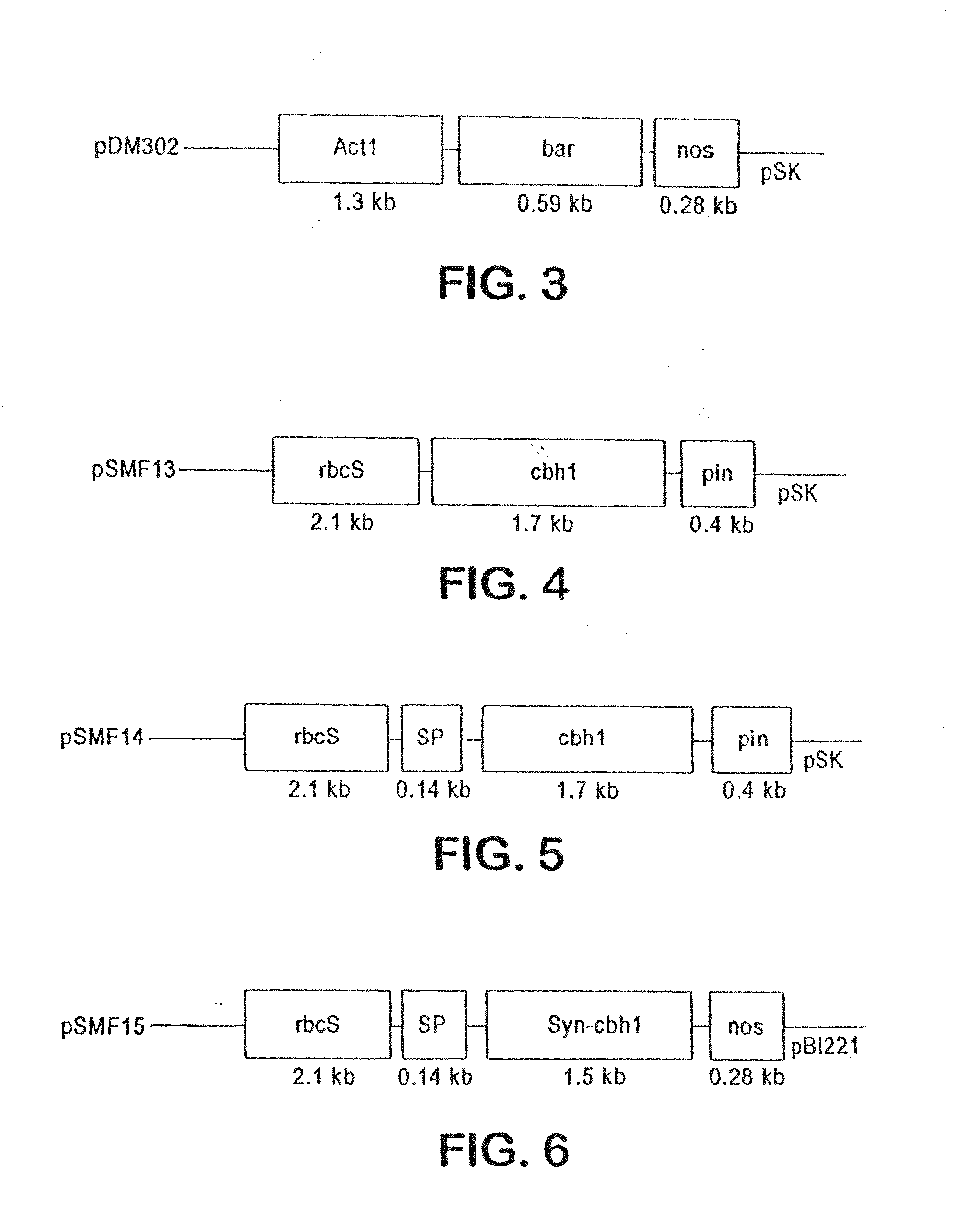 Transgenic cover plants containing hemicellulase and cellulase which degrade lignin and cellulose to fermentable sugars