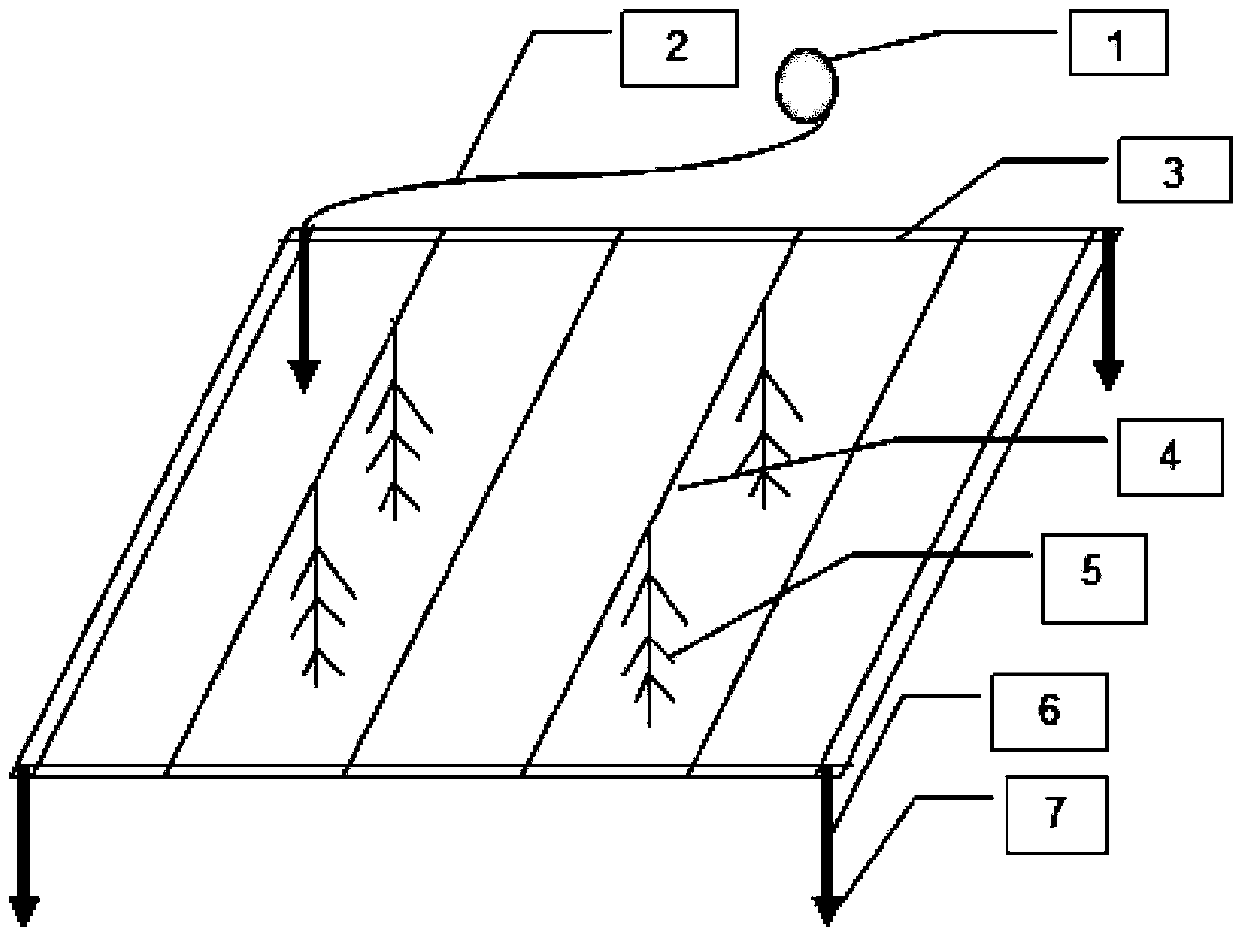 Method and device for co-cultivating gulfweed and sea cucumber