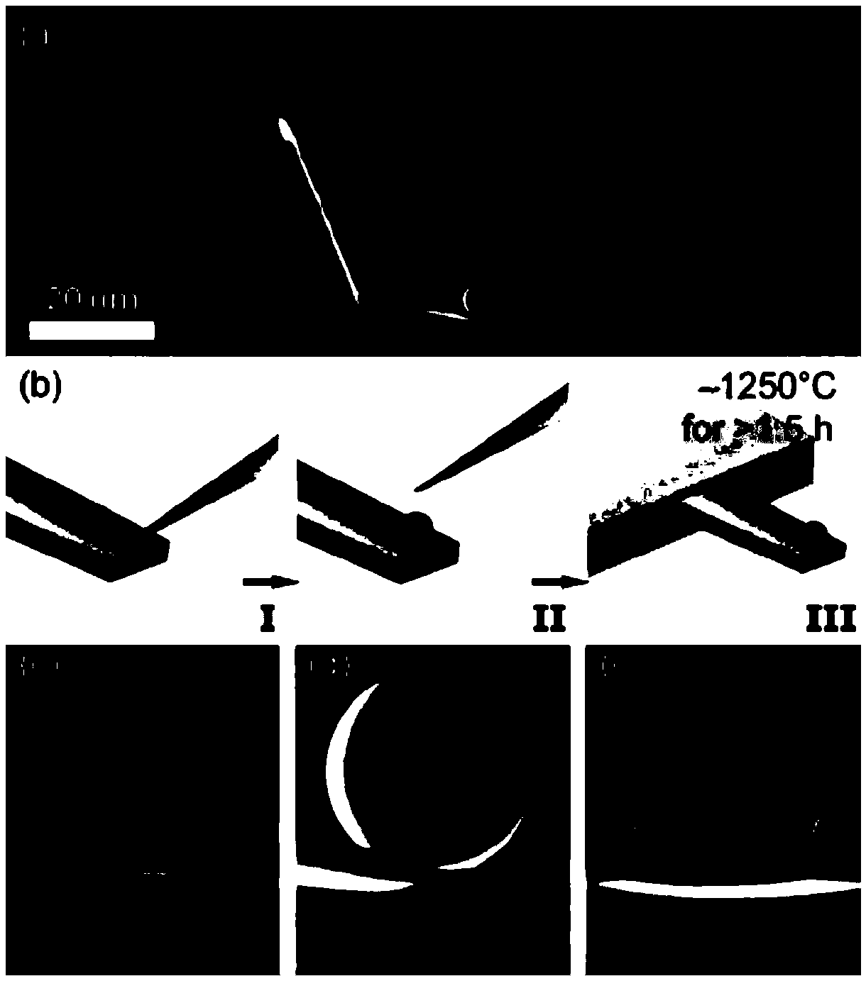 Atomic force microscope probe manufacturing method possessing nanoscale spherical tip