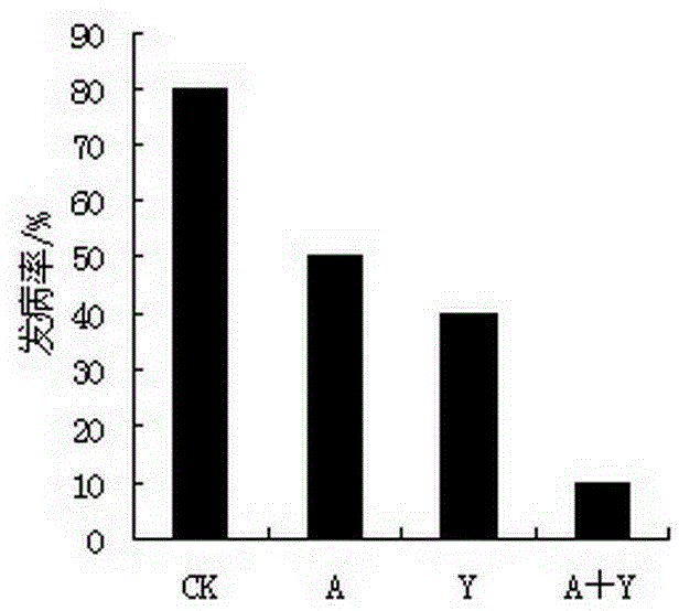 Compound method applied to storage and preservation of fresh date