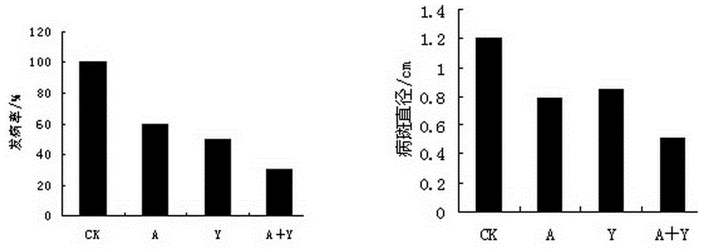 Compound method applied to storage and preservation of fresh date