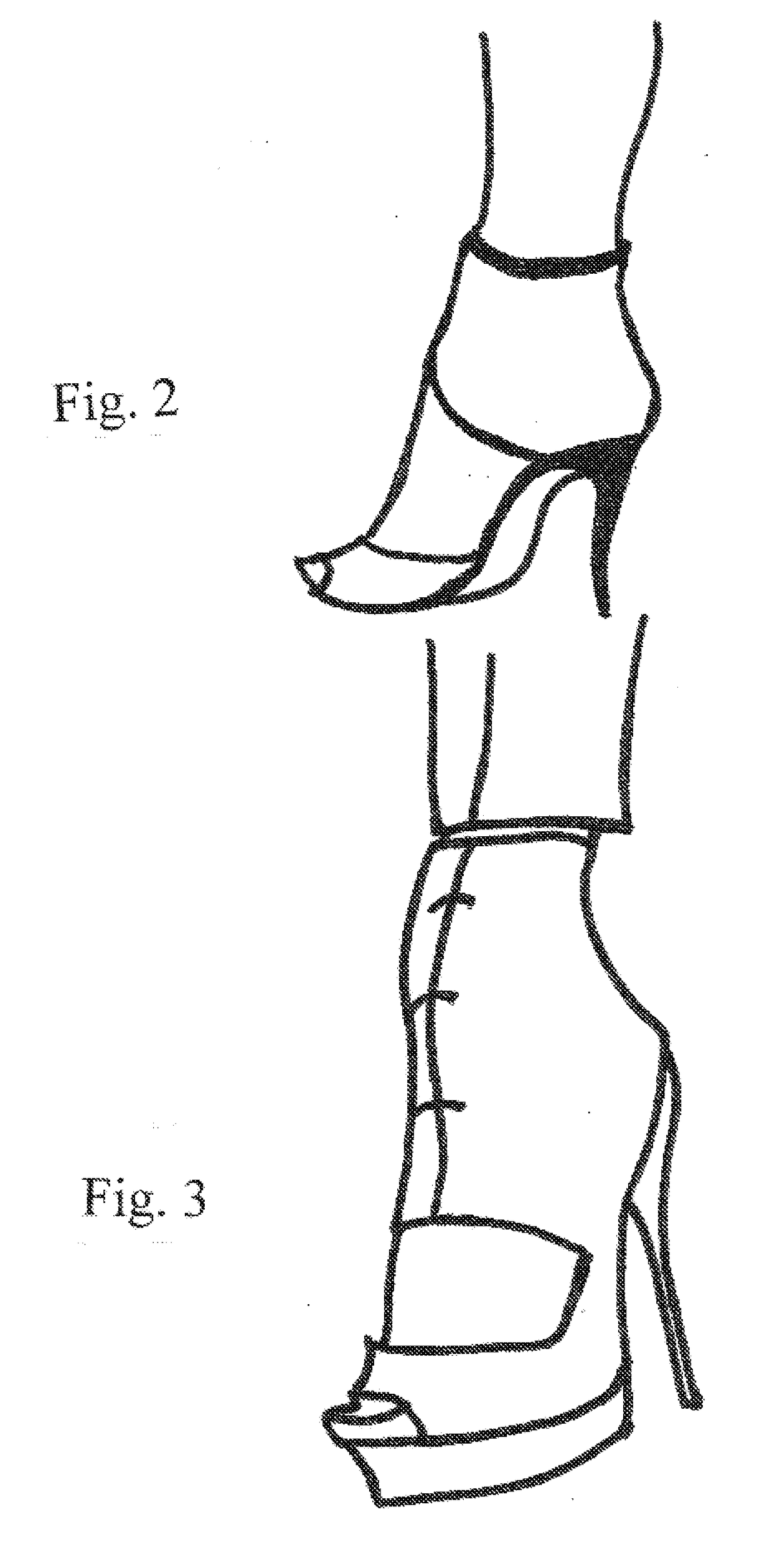 High Heel Shoe or Boot Ankle Support