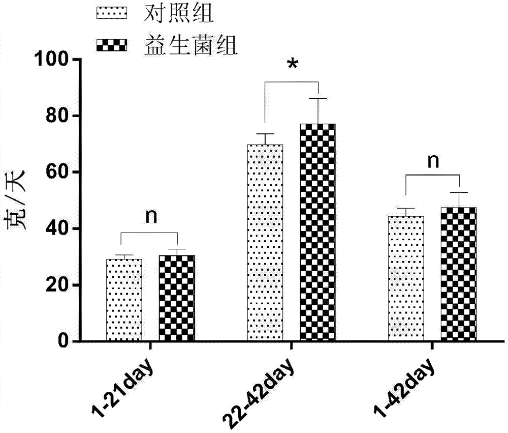 Probiotics for improving slaughter performance and growing performance of chickens and application method of probiotics