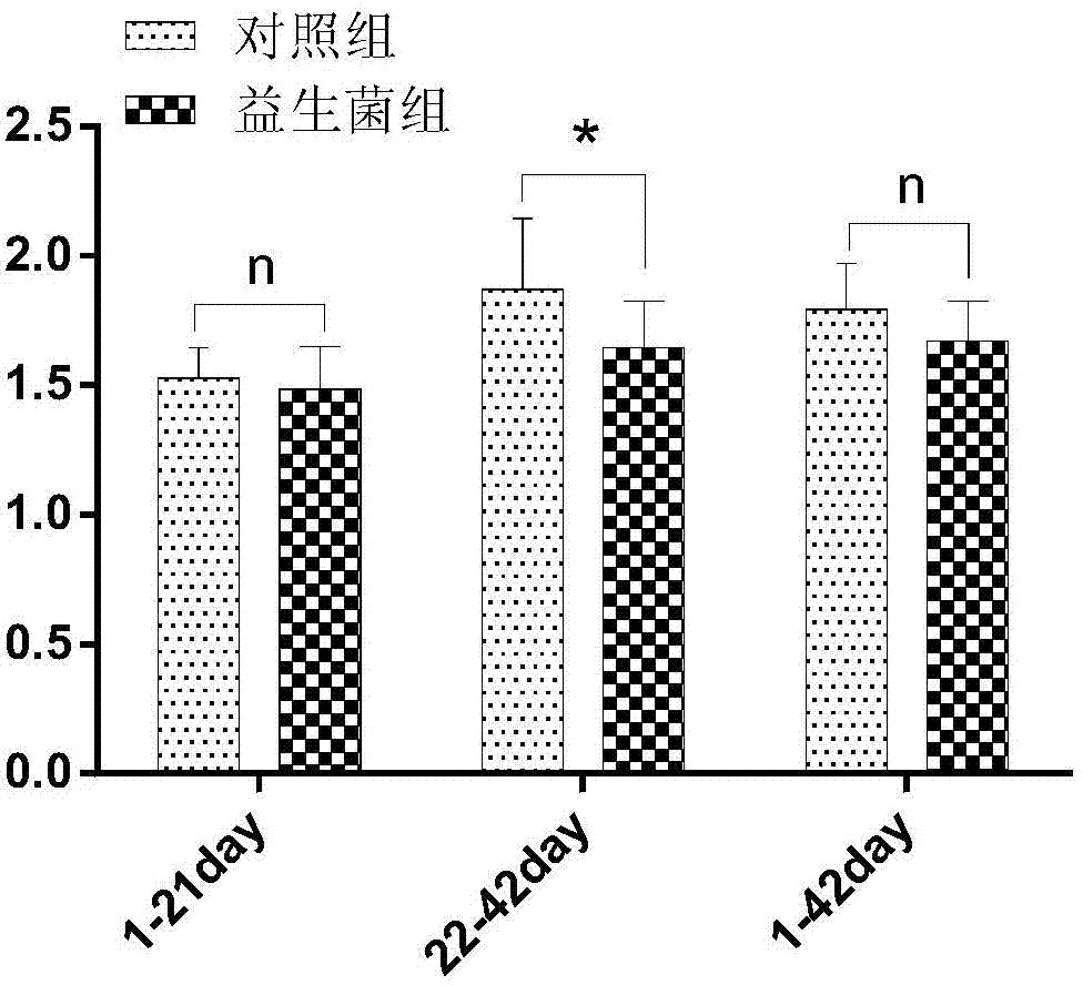 Probiotics for improving slaughter performance and growing performance of chickens and application method of probiotics