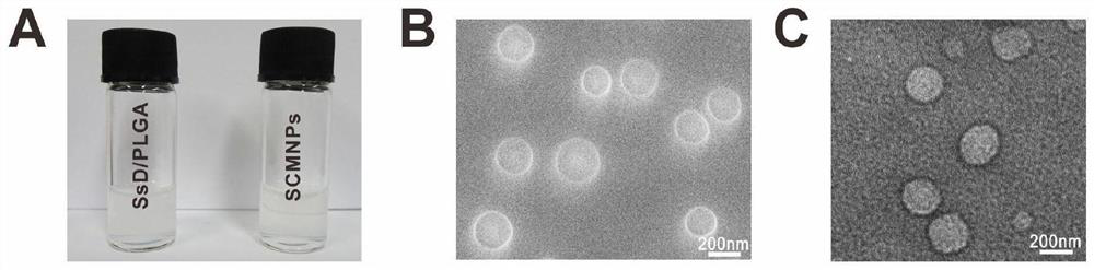 A kind of anti-breast cancer nano drug and preparation method thereof