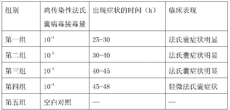 Chicken interferon gamma combined medicament and application