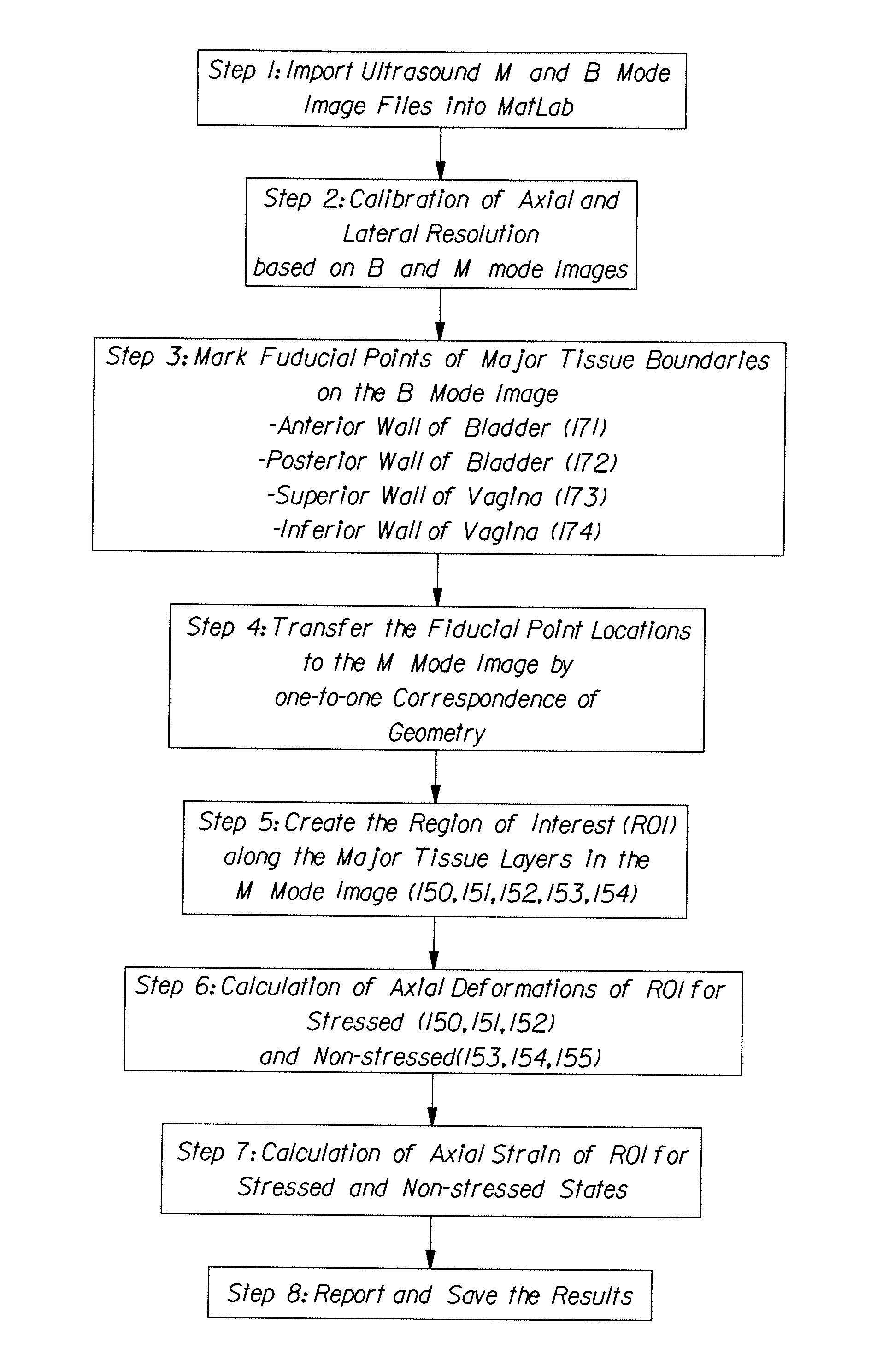 Computational model of the internal human pelvic environment