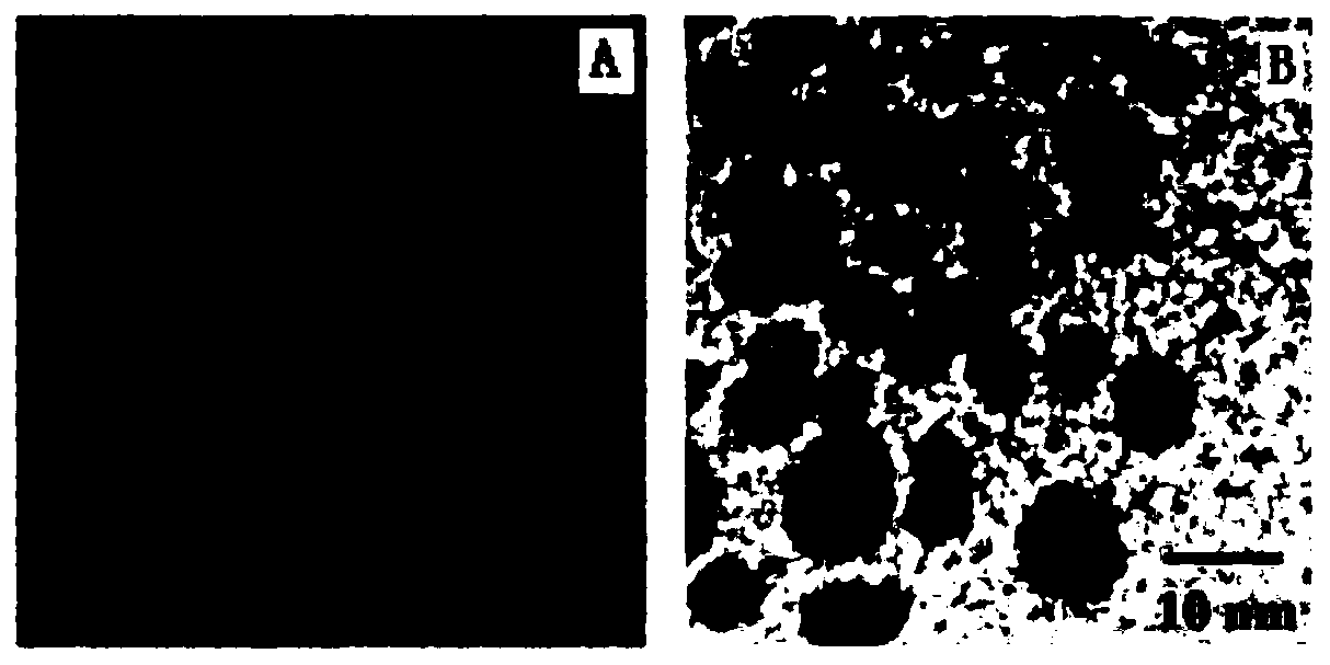 Polyethylene glycol vitamin e succinate modified tigecycline silver nanoparticles and its preparation and application