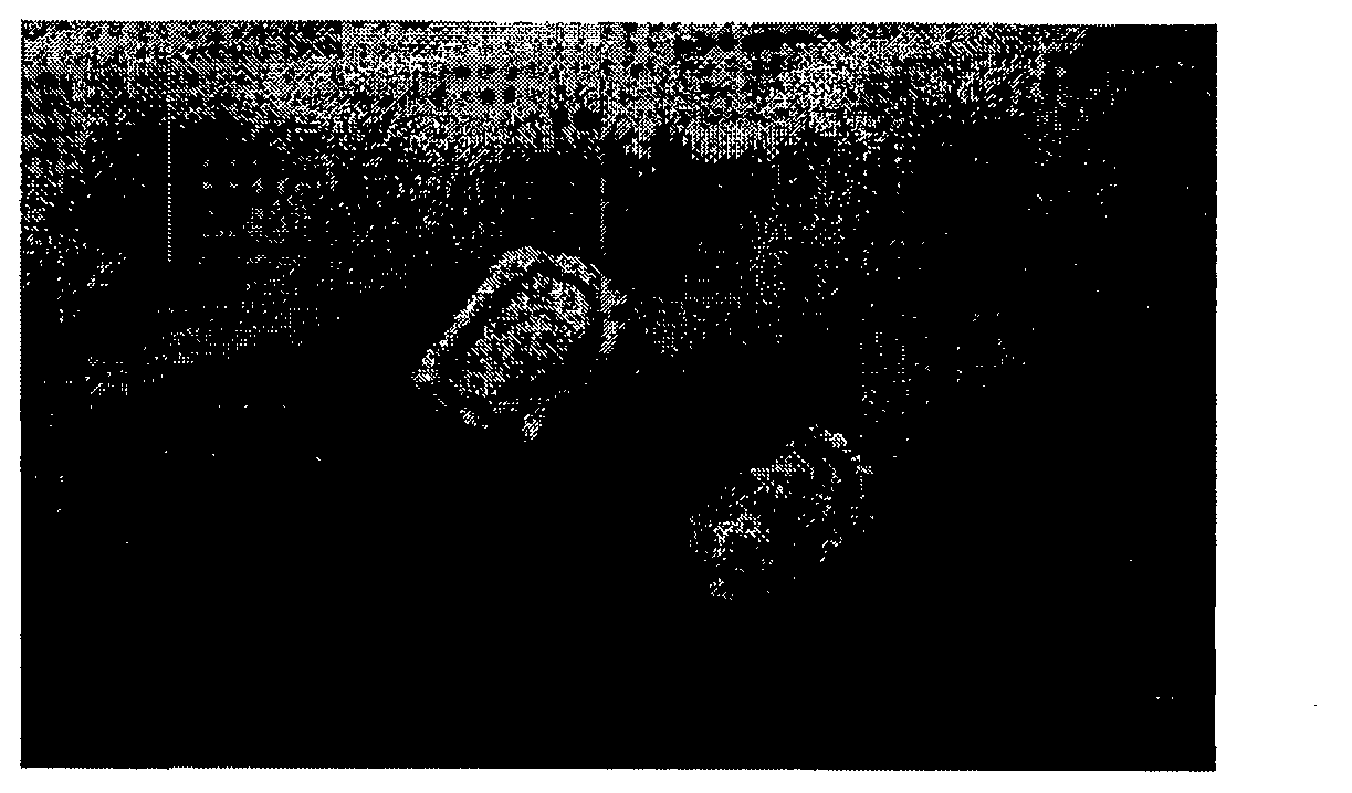 Gastro-resistant enzyme pharmaceutical compositions