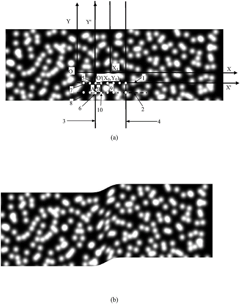 Half sub region relevant optical measurement method of strain field in strain localization zone