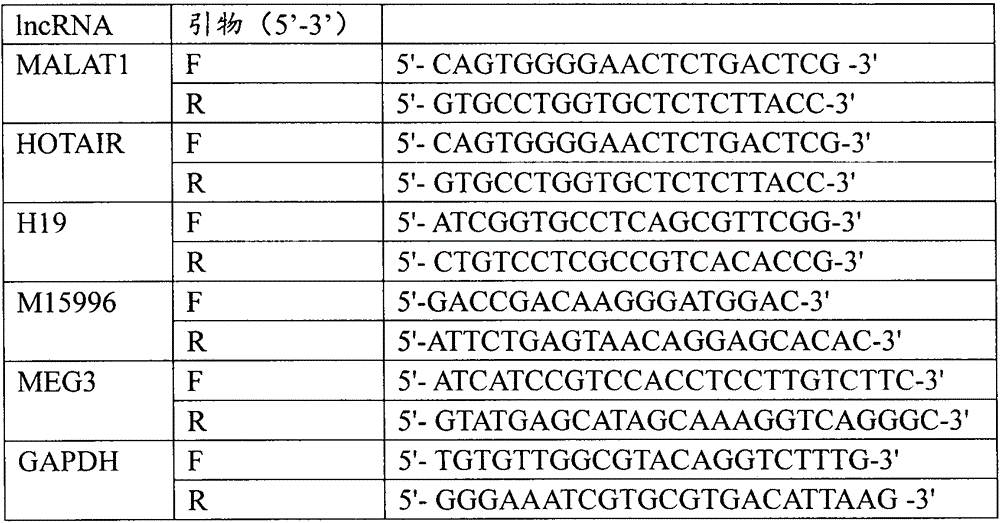 Kit for serum/plasma lncRNA marker related to stomach cancer