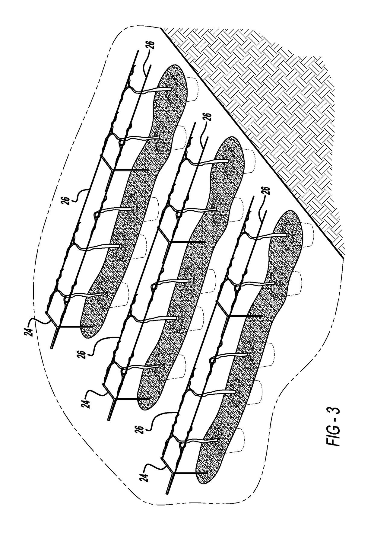 Method of growing grapevines