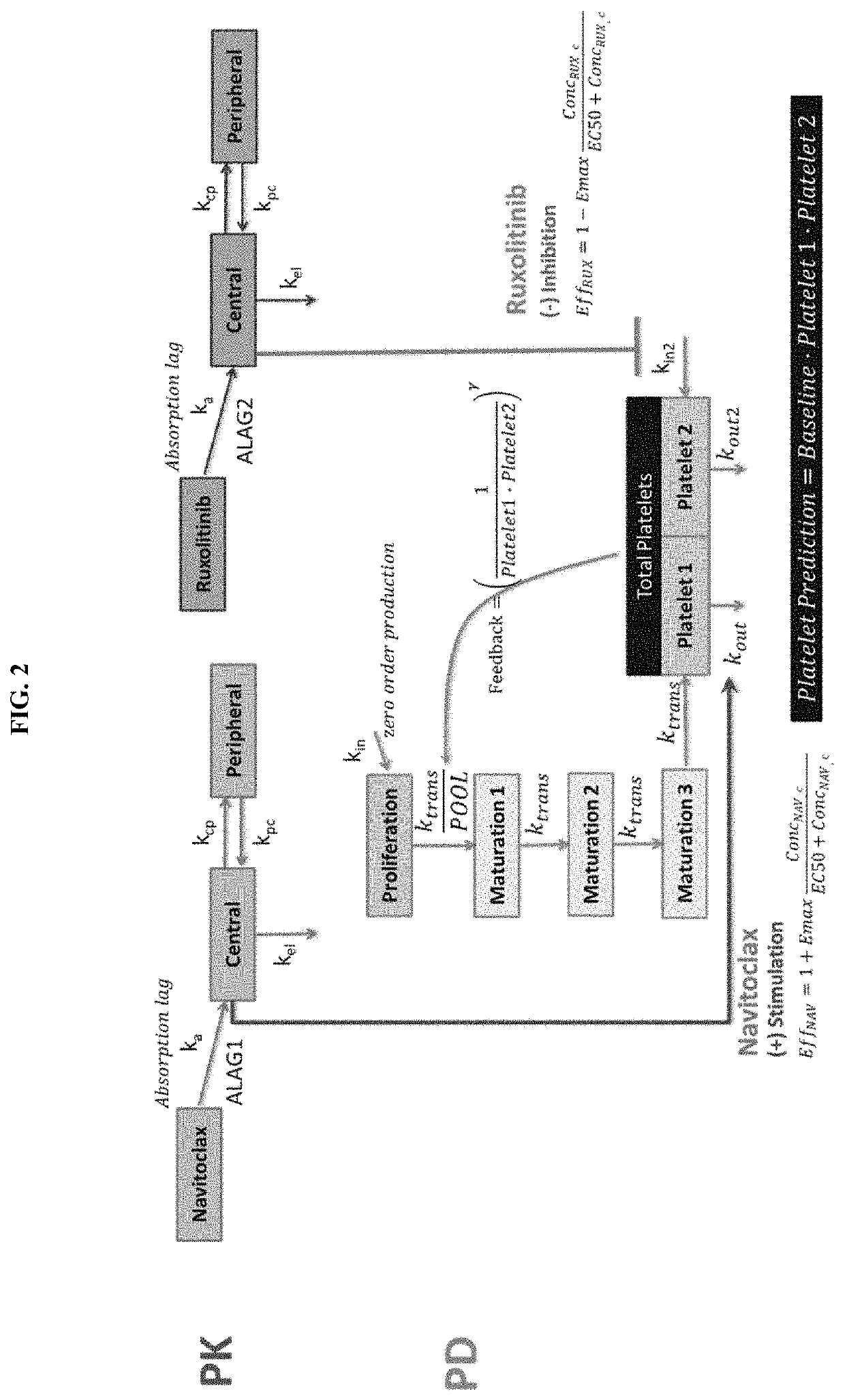 Dosing regimens for use in treating myelofibrosis and MPN-related disorders with navitoclax