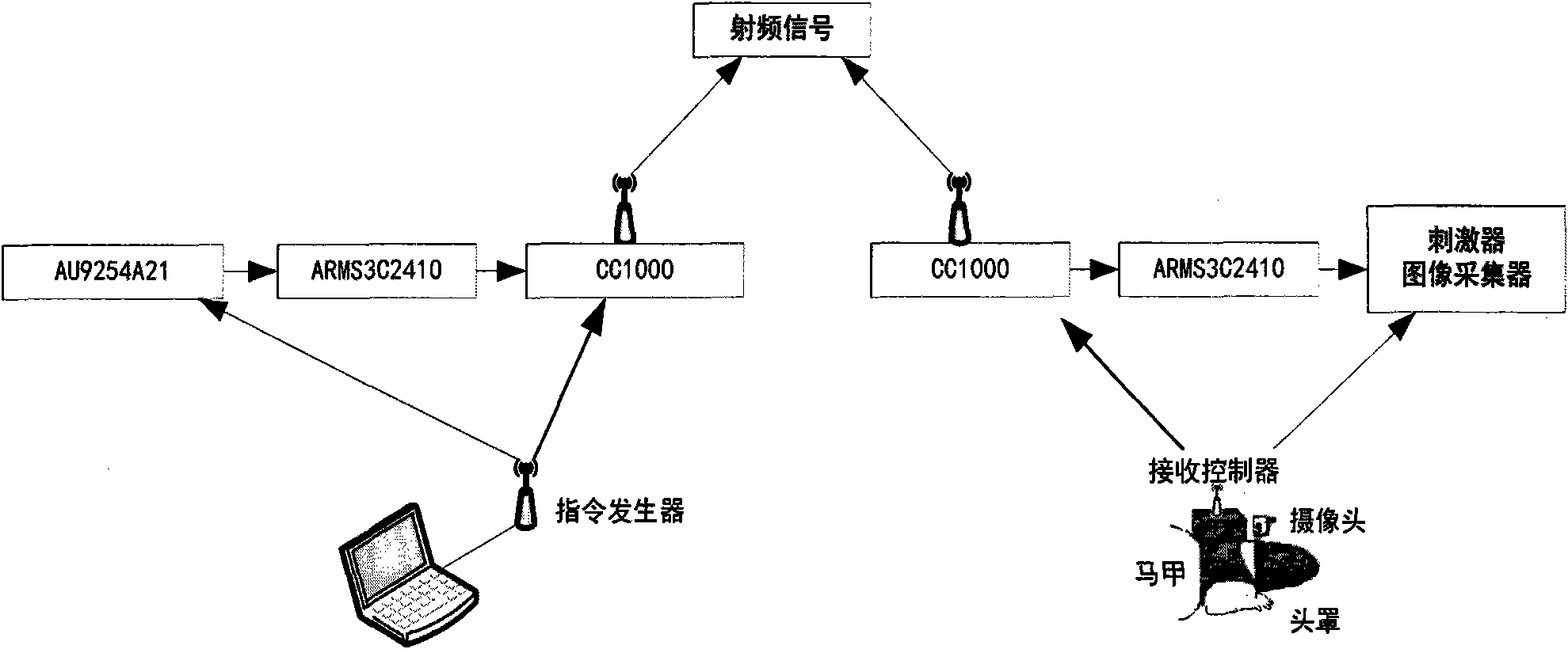 Method for controlling movement of woundless rat robot