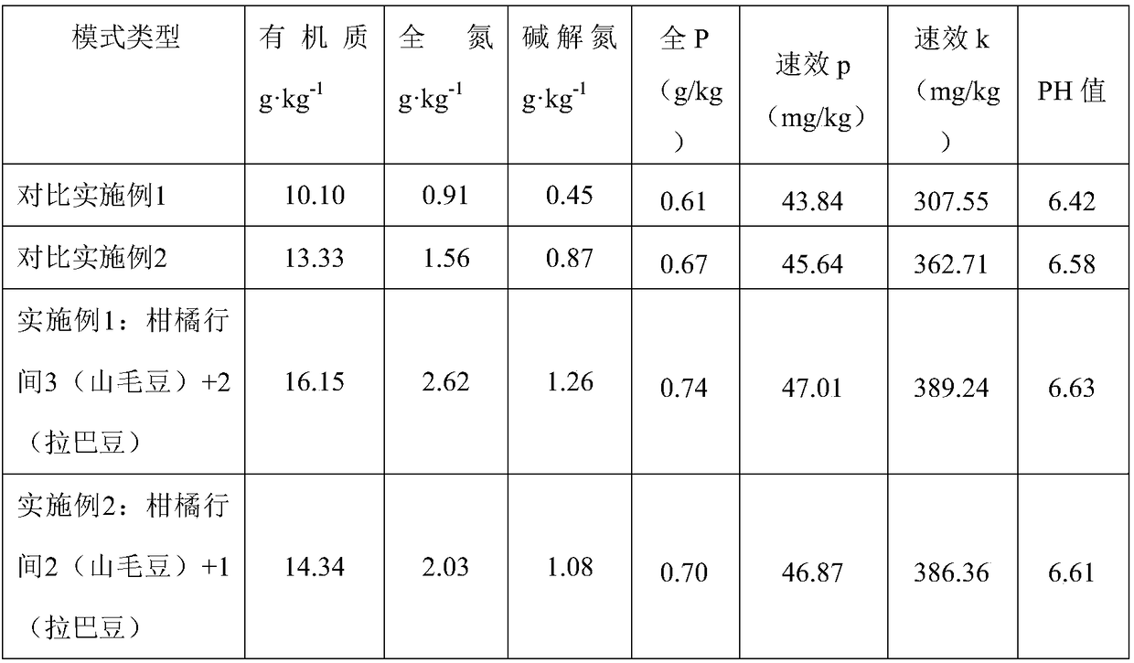 Method for improving citrus orchard ecological environment by interplanting Tephrosia candida and Dolichos lablab L.