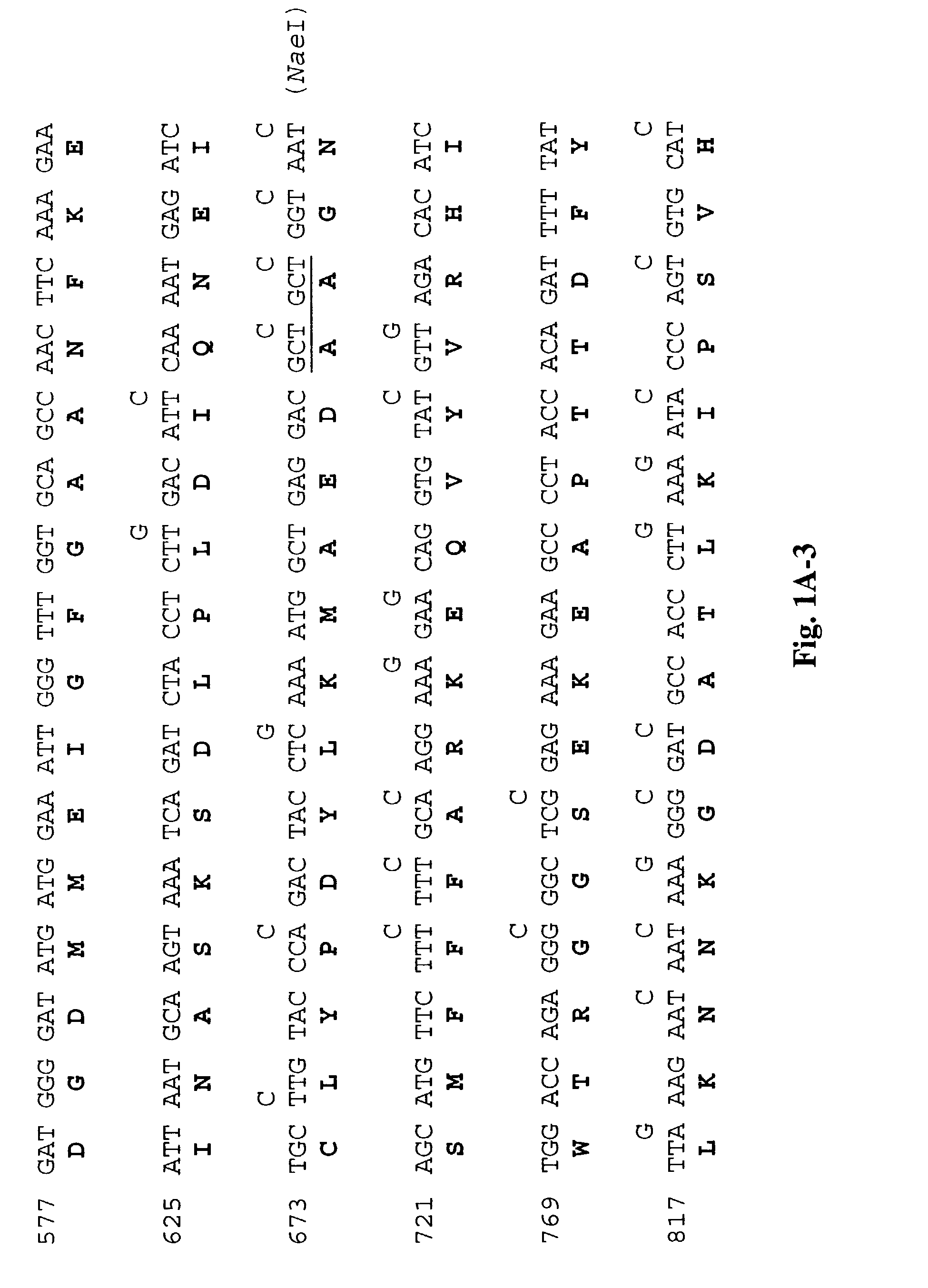 Method of constructing a synthetic polynucleotide