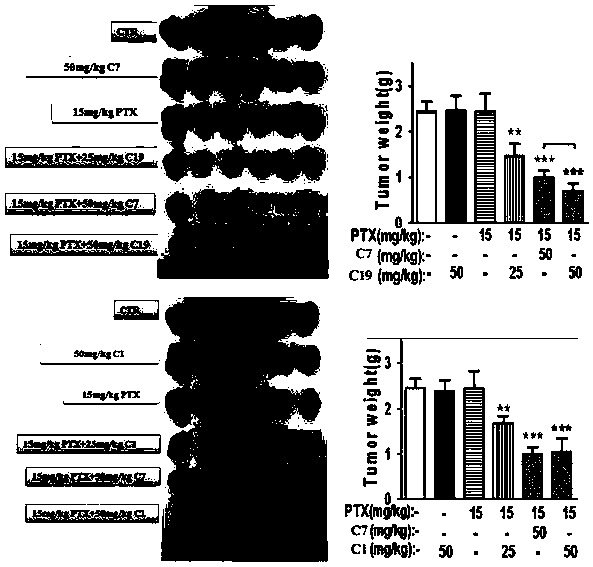 Nobiletin derivative or pharmaceutically acceptable salt thereof as well as preparation method and application thereof