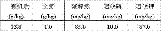 Selenium-iron-zinc-enriched organic-inorganic fertilizer and application method thereof