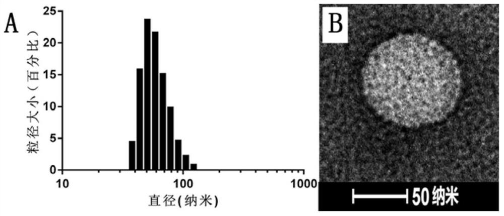 Light-controlled temperature-sensitive liposome and its preparation method and application