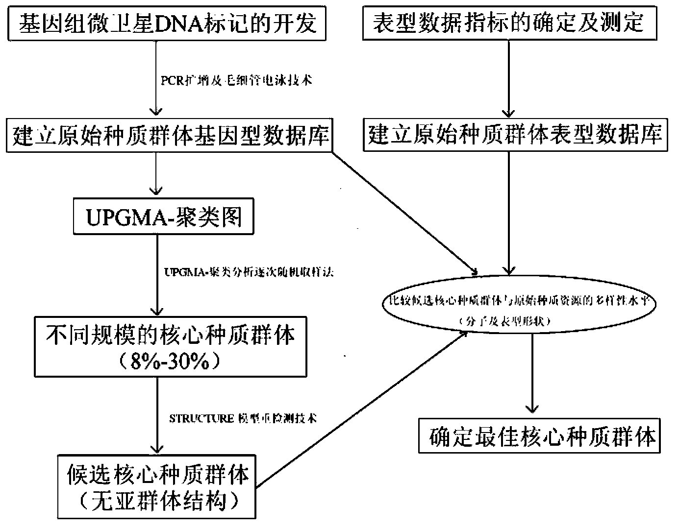 Method and kit for constructing poplar core collection through micro-satellite DNA molecular marking technology