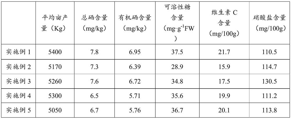 Simplified planting method for radishes rich in organic selenium