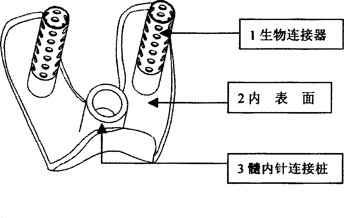 Individualized artificial half joint substitute and its preparing method