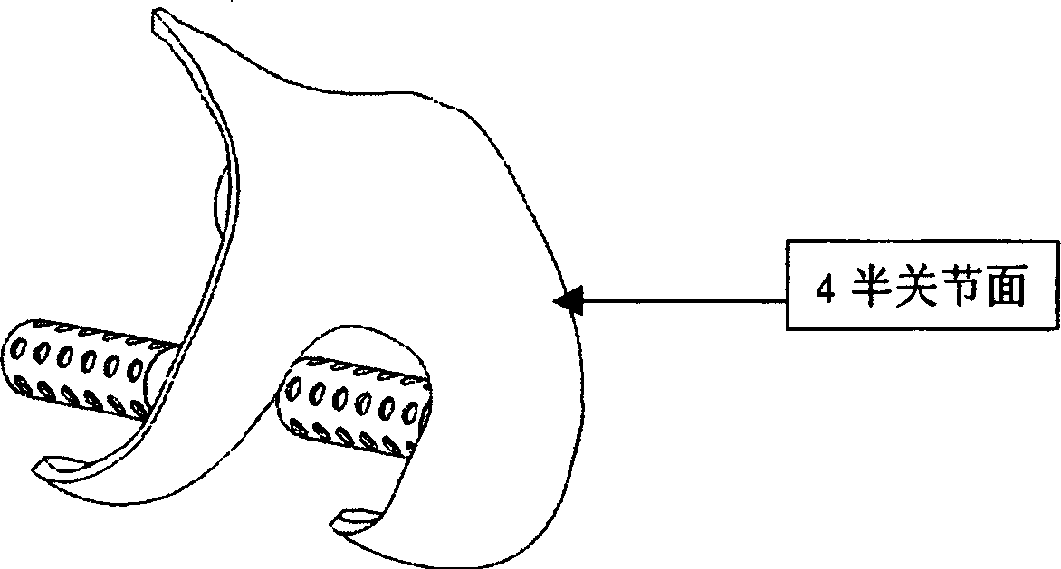 Individualized artificial half joint substitute and its preparing method