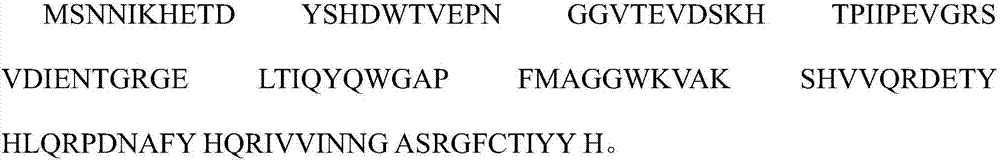 Protein yolk antibody for immunologic diagnosis of acute hepatopancreas necrosis syndrome, and preparation process and application thereof