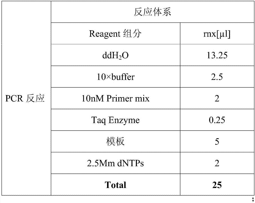 Protein yolk antibody for immunologic diagnosis of acute hepatopancreas necrosis syndrome, and preparation process and application thereof