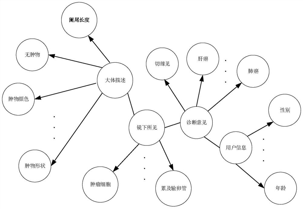 Pathological critical value early warning method based on pathological knowledge graph and related equipment