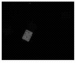 Coding suspension microchip and preparation method and application thereof