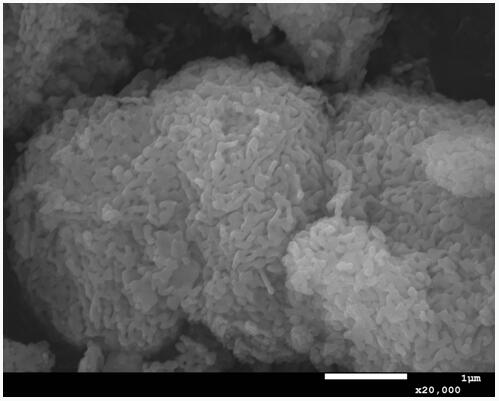 Method for preparing nanoscale lithium ferric manganese phosphate material by using co-crystallization method