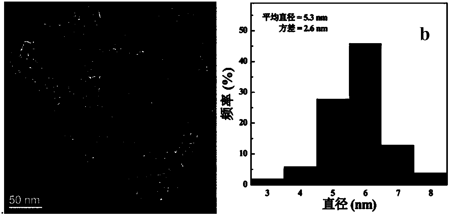 Method for detecting trivalent chromic ions by using gamma-polyglutamic acid stabilized triiron tetraoxide nano grains