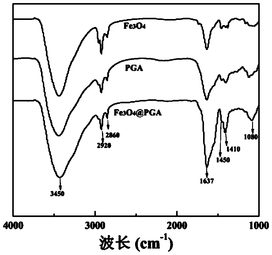 Method for detecting trivalent chromic ions by using gamma-polyglutamic acid stabilized triiron tetraoxide nano grains