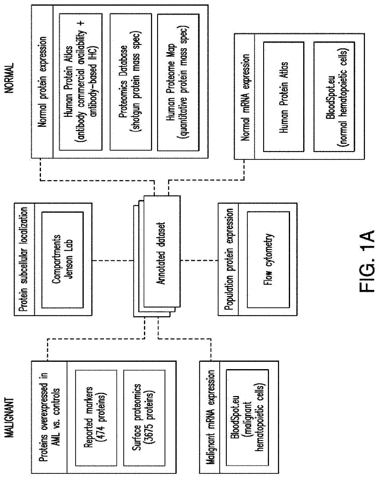 Cancer antigen targets and uses thereof