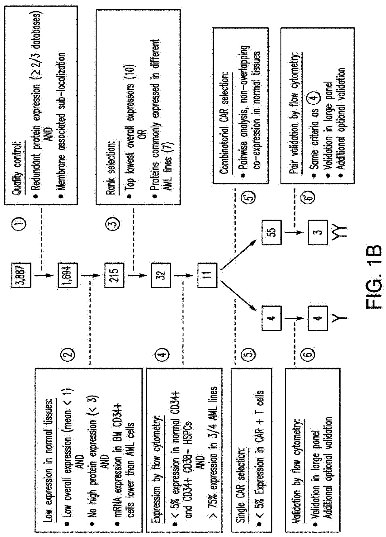 Cancer antigen targets and uses thereof