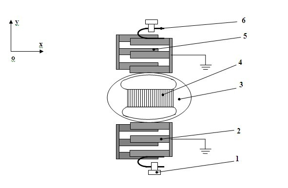 Vibration shielding type electric field sensor