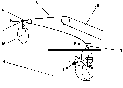 Robot system for rapidly harvesting bunch of grapes without falling and realization method thereof