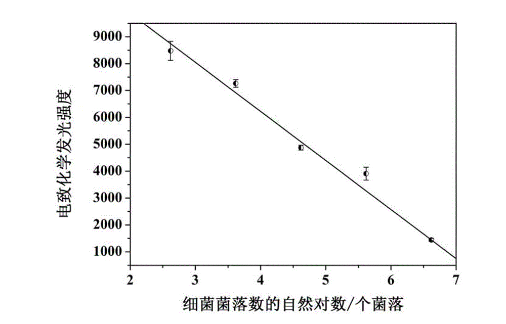 Electrogenerated chemiluminescence bacterium sensing method and multi-functional probe