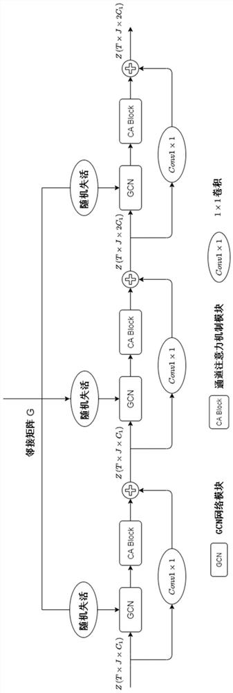 Lightweight graph convolution human skeleton action recognition method based on channel attention