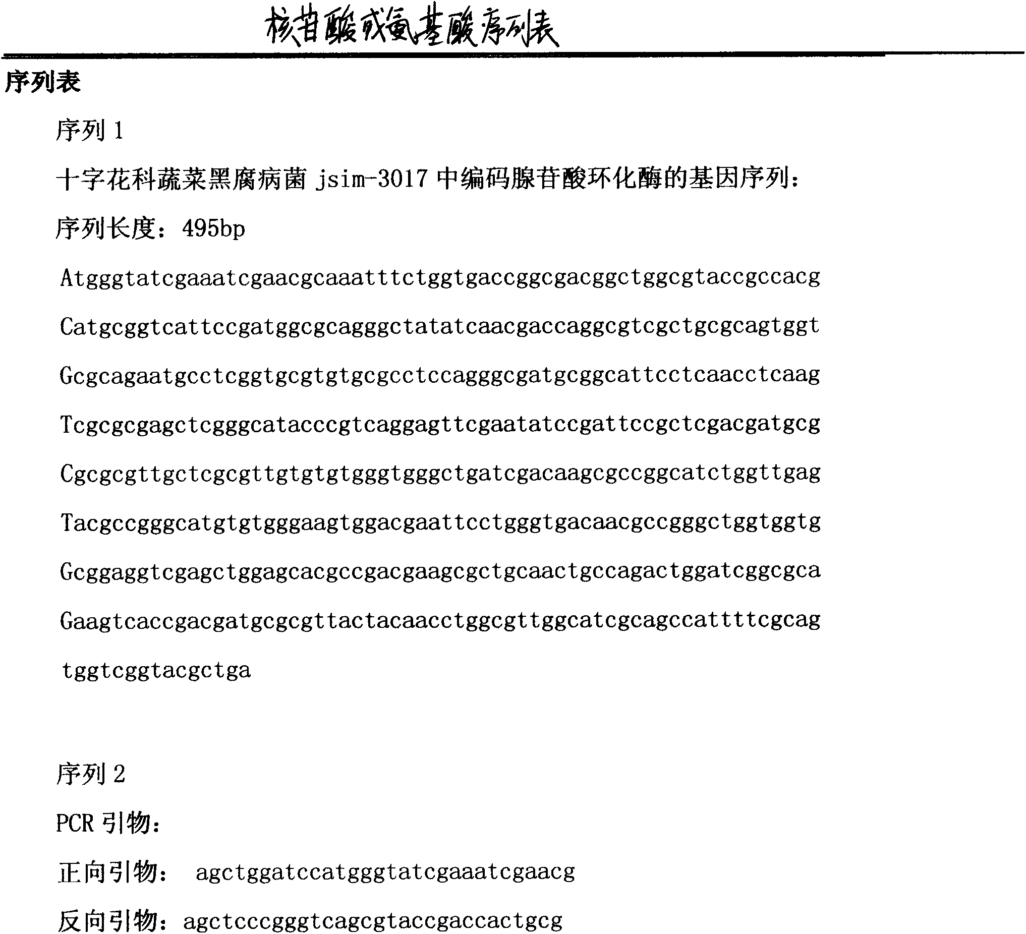 Method utilizing bacillus subtilis to produce adenosine cyclophosphate